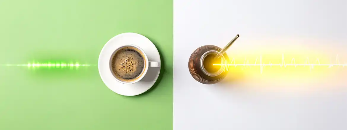 Jak działa yerba mate i czy pobudza lepiej niż kawa?
