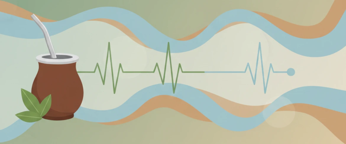 Yerba mate a ciśnienie krwi – czy yerba mate podnosi ciśnienie i jak działa kofeina