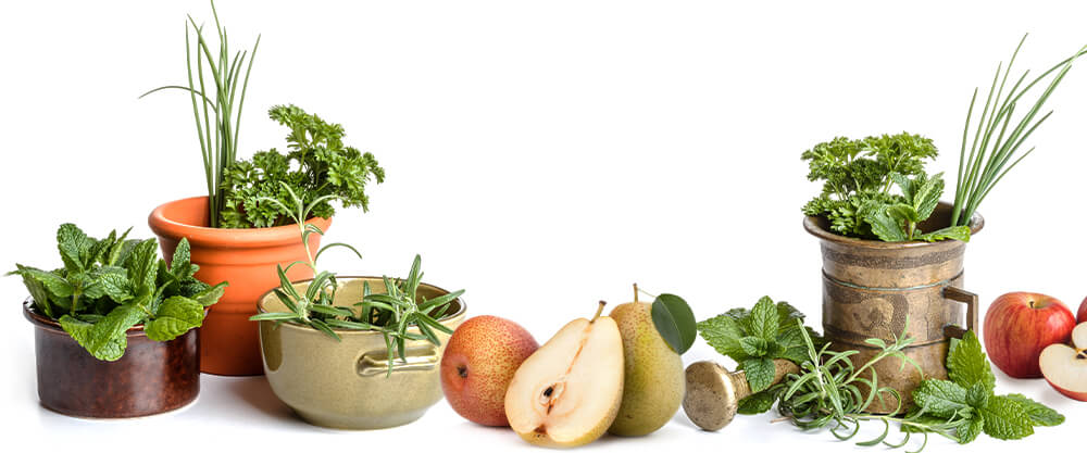 Hierbas y frutas - aditivos a la yerba mate