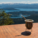 Dlaczego warto pić yerba mate?