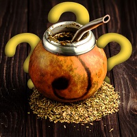 Jak przygotować yerba mate?