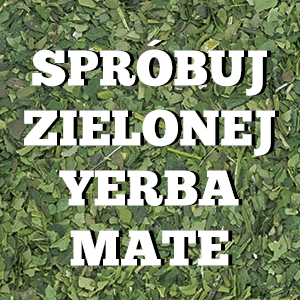yerba mate green zielona yerba