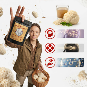 Magic Pwdr – Lion's Mane – soplówka jeżowata 30 g