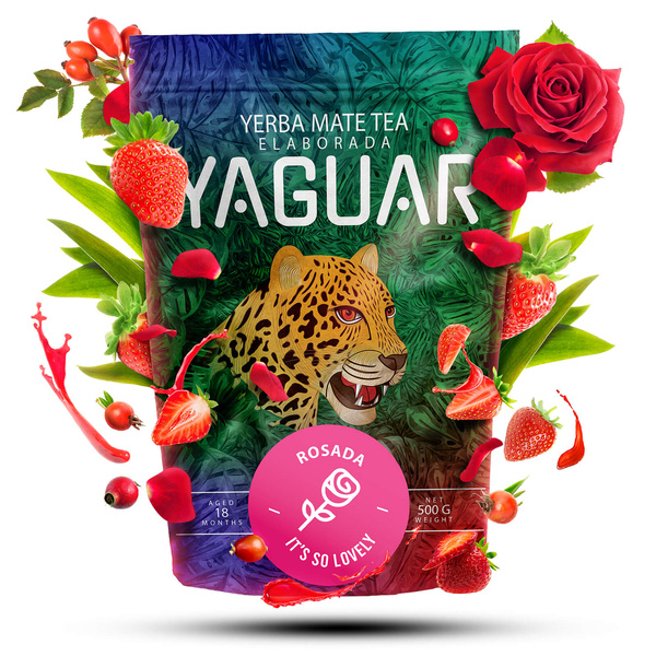 Trio Yerba Verde Mate na START dla początkujących