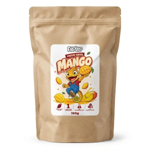 FiloLilo – Mango liofilizowane (plastry) 100 g