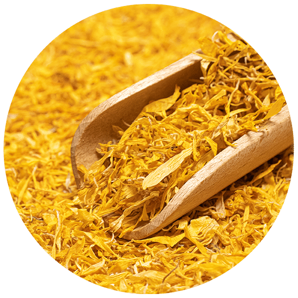 Nagietek 100 g – kwiat nagietka (płatki)