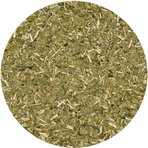 Yerbera – Puszka z El Fuego Energia Guarana 0,5 kg