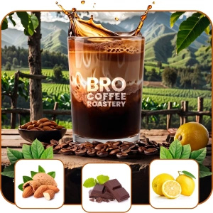 Zestaw kawa Bro Coffee Roastery Brazil Samba + Brazil Guaxupe + Brazil Cerrado 3x1kg (3kg)