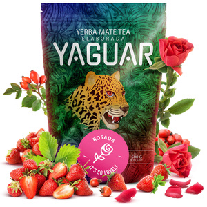 Trio Yerba Verde Mate na START dla początkujących