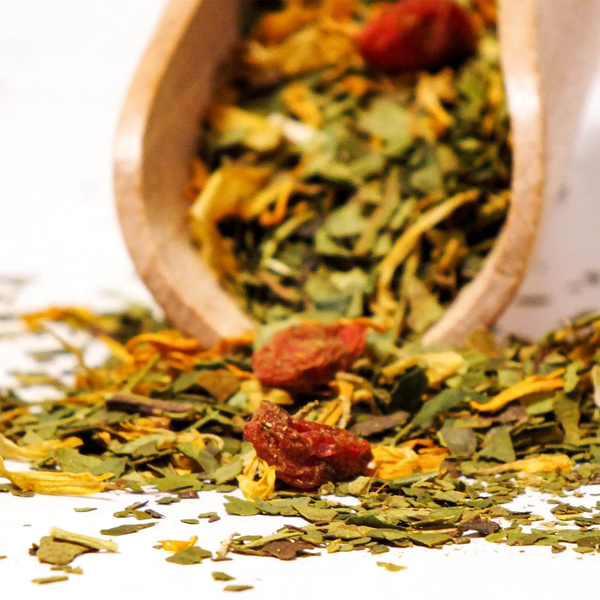 Trio Yerba Verde Mate na START dla początkujących