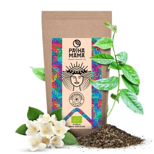 Zestaw Guayusa Pachamama 2x250g NA START