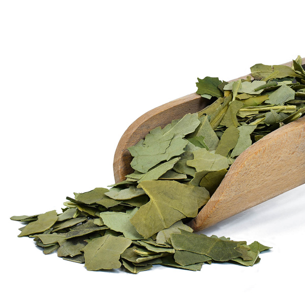 Zestaw prezentowy Yerba Mate: Verde Mate Premium