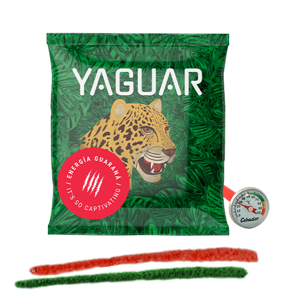 Termometr analogowy etui + czyściki + Yerba Mate 50g