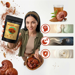Magic Pwdr – Reishi 30 g