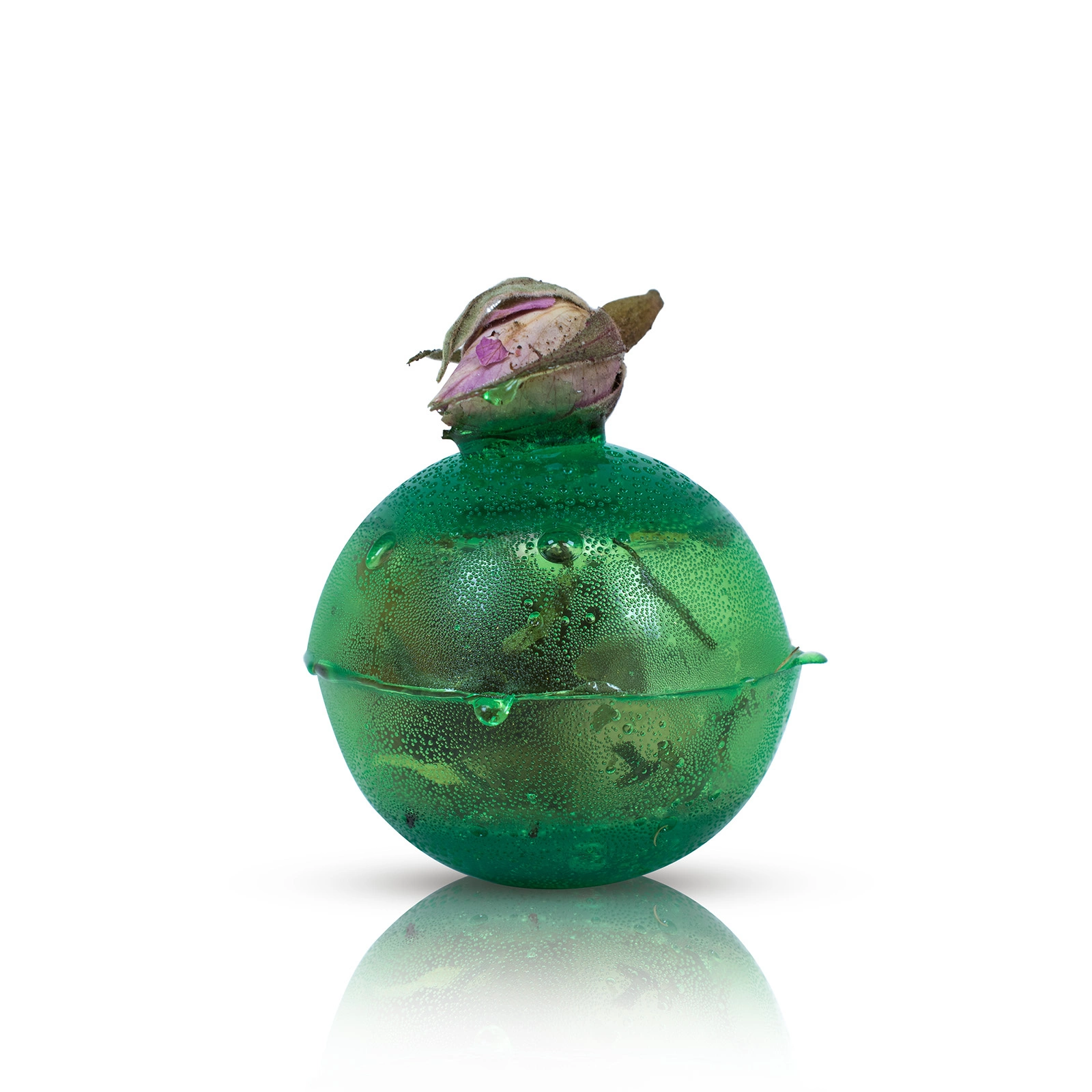 Bomba herbaciana Mary Rose Sunny Garden