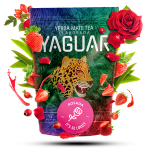 Trio Yerba Verde Mate na START dla początkujących