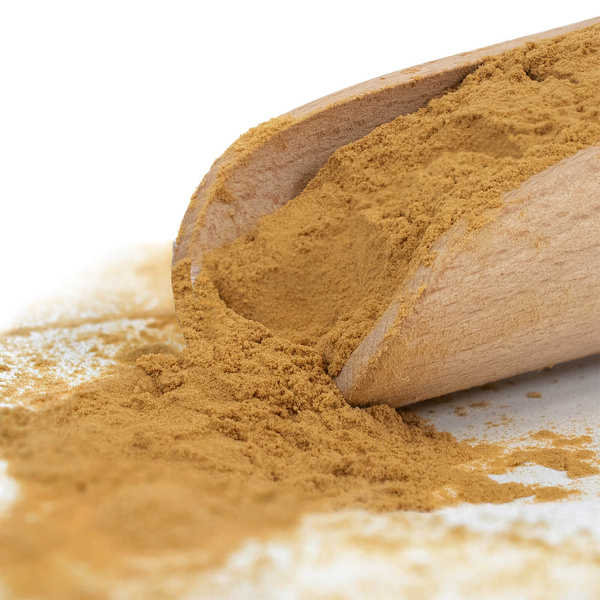 Lion's Mane – soplówka jeżowata 1 kg