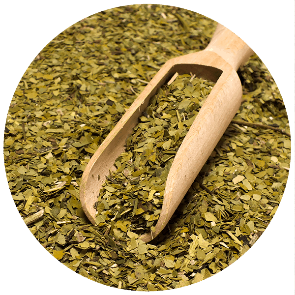 Yerbera – Puszka z Verde Mate Green Organica 0,5 kg