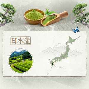 Mary Rose – Japońska Herbata Zielona Matcha Tenno (BIO) Ceremonialna 50 g