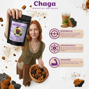 Magic Pwdr – Chaga 50 g
