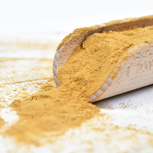 Vivarini – Lion's Mane – soplówka jeżowata 30 g