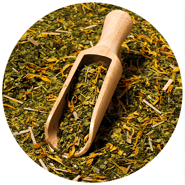 Verde Mate Green Sarsaparilla 0,5 kg