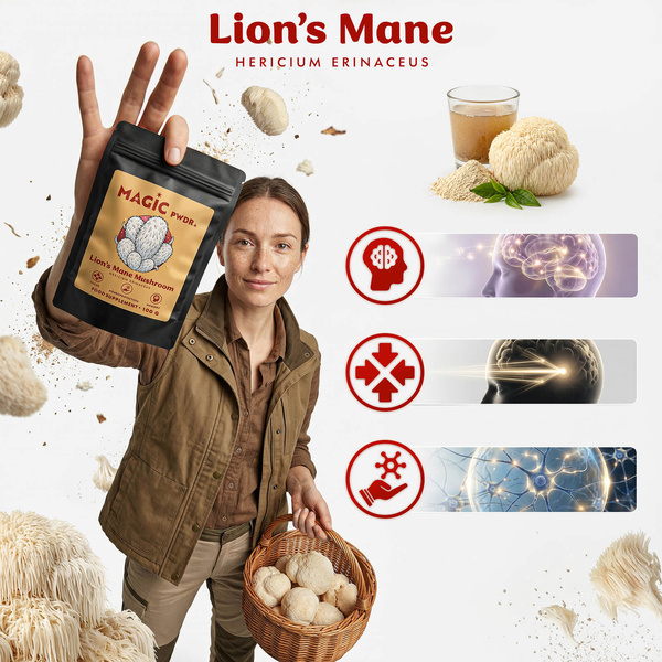 Magic Pwdr – Lion's Mane – soplówka jeżowata 100 g
