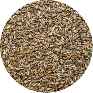Vivarini – Ostropest (ziarno) 0,5 kg