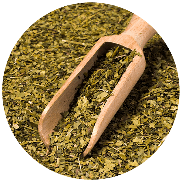 Yerbera – Puszka z Verde Mate Green Despalada 0,5 kg