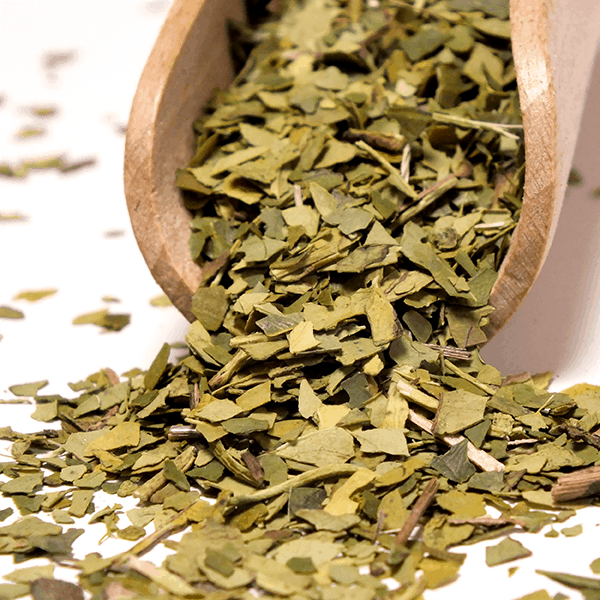 Yerbera – Puszka z Verde Mate Green Despalada 0,5 kg