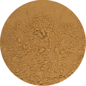 Lion's Mane – soplówka jeżowata 1 kg