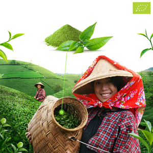 Mary Rose – Japońska Herbata Zielona Matcha Tenno (BIO) Ceremonialna 50 g