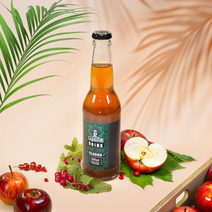 Guarani Drink – Napar z Yerba Mate na Zimno – Clasica 330 ml