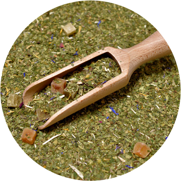 Trio Yerba Verde Mate na START dla początkujących
