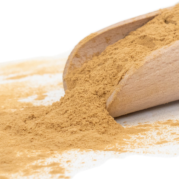 Magic Pwdr – Reishi 30 g